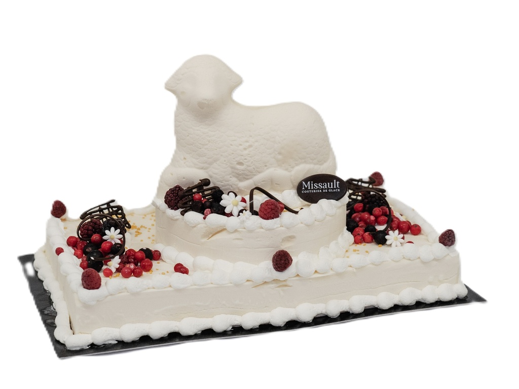 IJslam30p. (4800 ml)