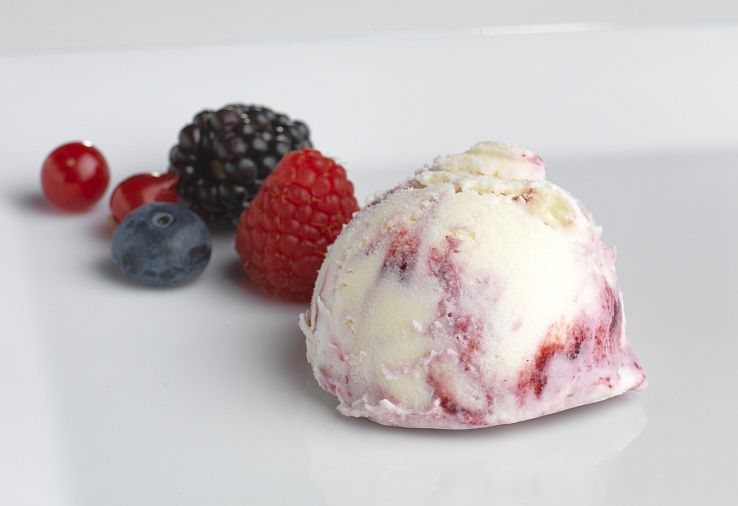 YOGHURT IJS Woudvrucht 1L