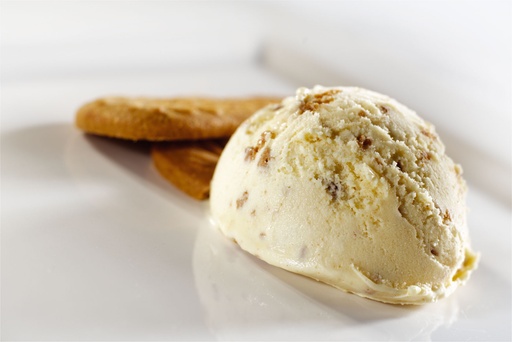 [RSPE1] Roomijs SPECULOOS 1L